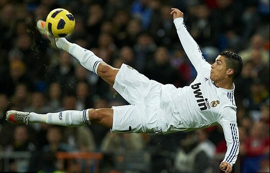 不离不弃的 不离不弃的